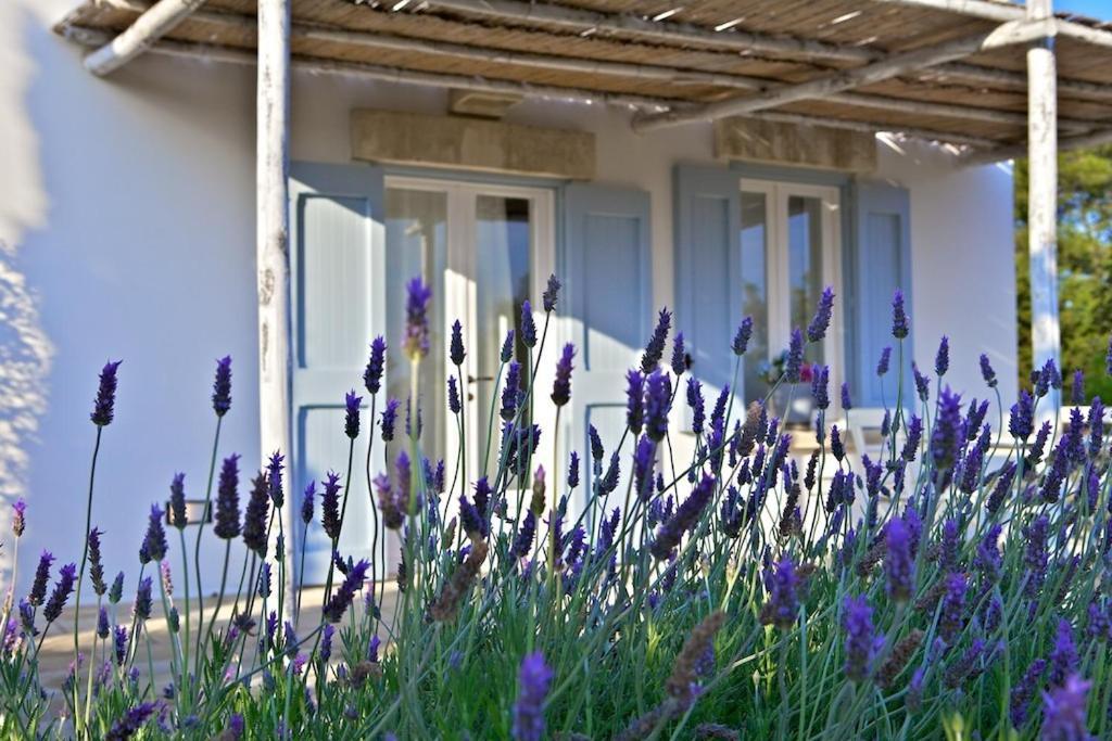 Masseria Montelauro Otranto Exteriér fotografie