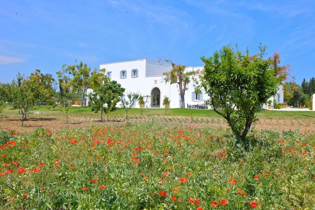 Masseria Montelauro Otranto Exteriér fotografie