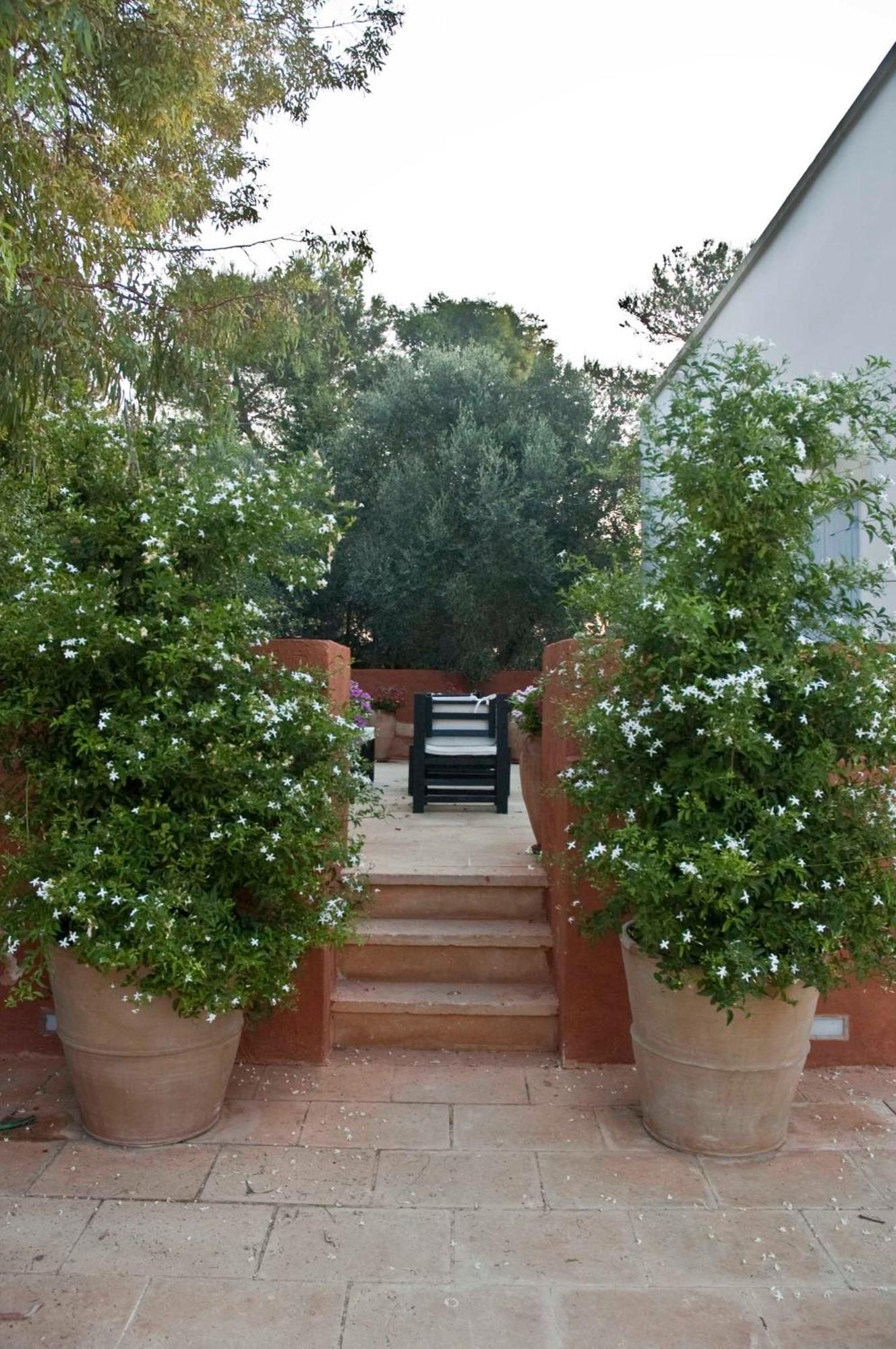 Masseria Montelauro Otranto Exteriér fotografie